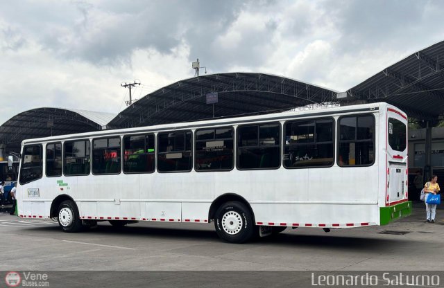 Expresos Bolivarianos 13 por Leonardo Saturno