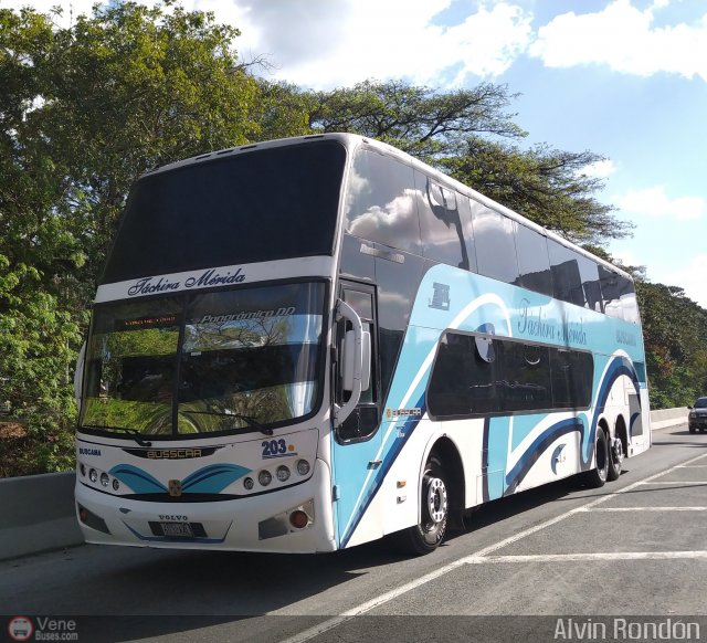 A.C. Mixta de Transporte T�chira M�rida R.L. 0203 por Alvin Rond�n