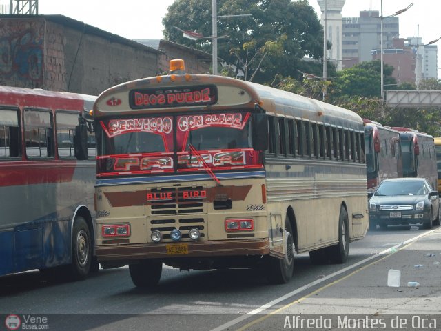 Uni�n Conductores San Casimiro 17 por Alfredo Montes de Oca
