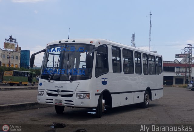 S.C. Expresos Mara 003 por Aly Baranauskas