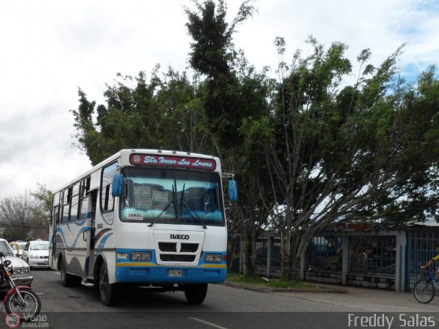 TA - Sta. Teresa Las Lomas 55 por Freddy Salas