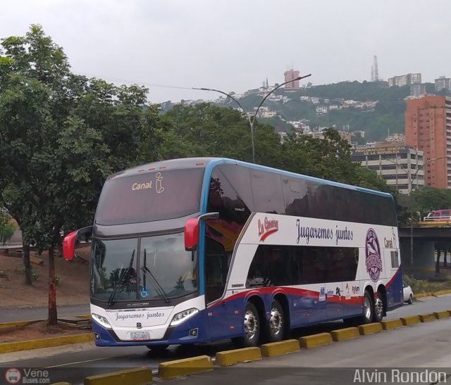 Tiburones de La Guaira B.B.C. 13 por Alvin Rondn