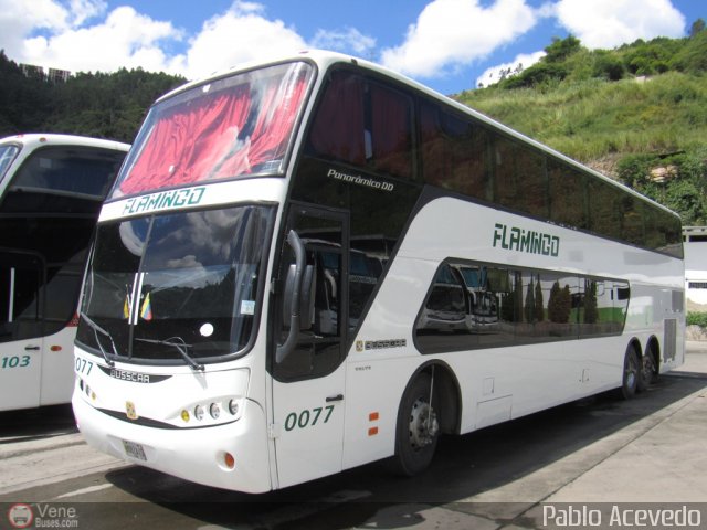 Expresos Flamingo 0077 por Pablo Acevedo