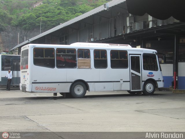U.C. Líneas Unidas 108 por Alvin Rondón