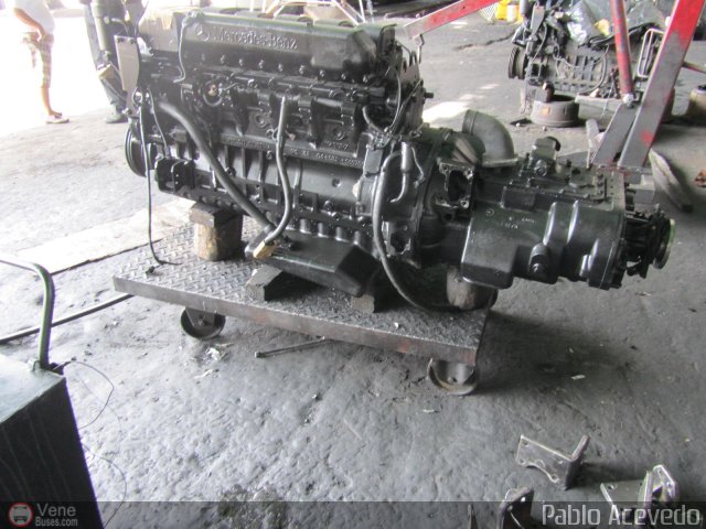 Expresos Flamingo 0100 por Pablo Acevedo