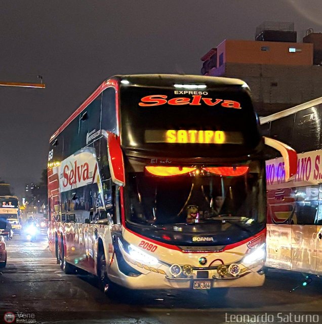 Expreso Selva 2090 por Leonardo Saturno