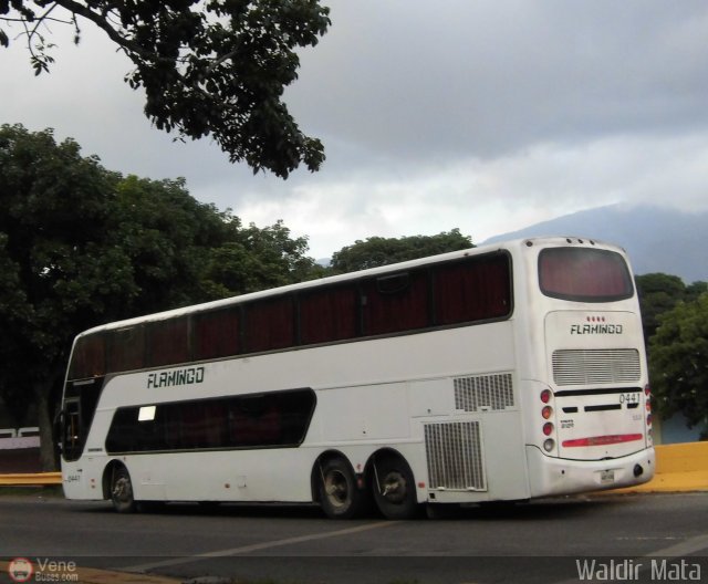 Expresos Flamingo 0441 por Waldir Mata