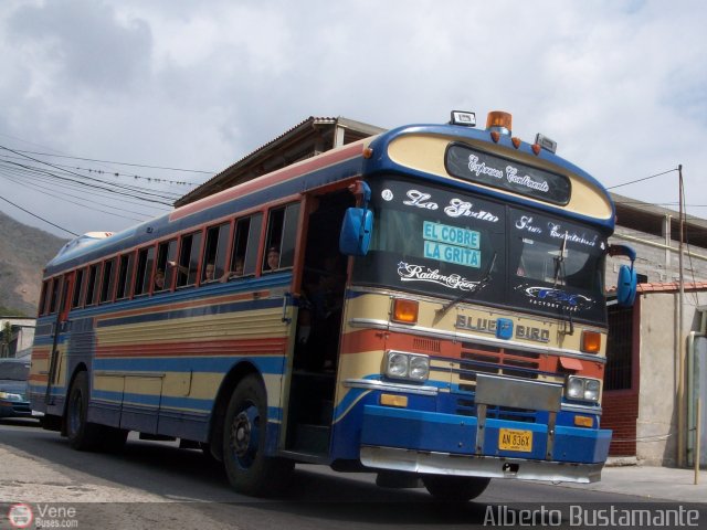 Expresos Continente C-29 por Alberto Bustamante