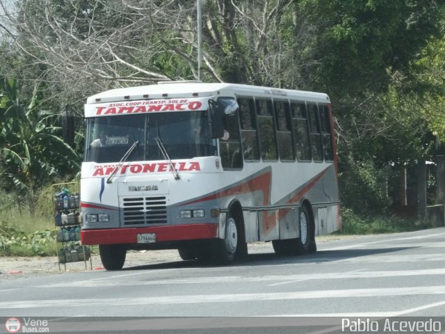 A.C. de Transporte Sol de Tamanaco 03 por Pablo Acevedo