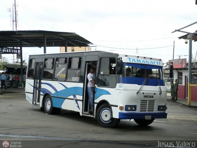 A.C. de Transporte Sol de Tamanaco 21 por Jess Valero