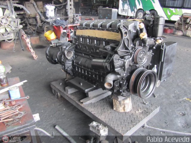 Expresos Flamingo 0100 por Pablo Acevedo