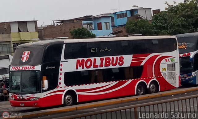 Transportes y Servicios Molibus 956 por Leonardo Saturno