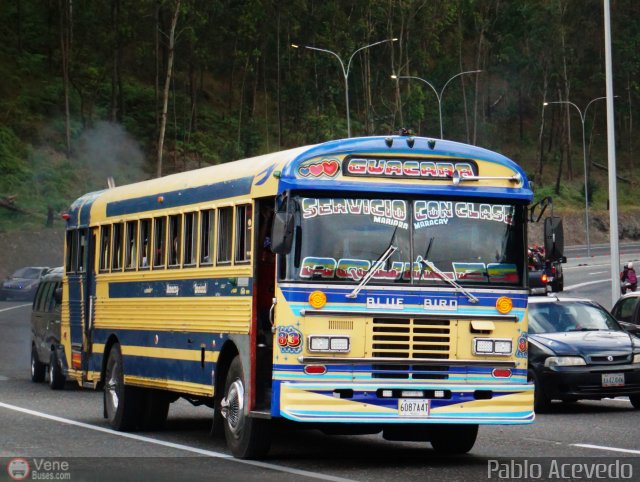 Transporte Guacara 0083 por Pablo Acevedo