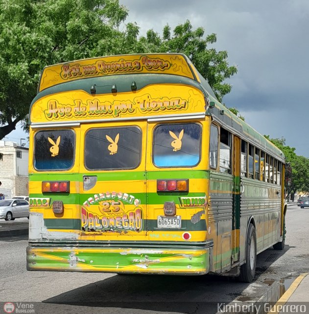Transporte Palo Negro La Morita 2 025 por Kimberly Guerrero