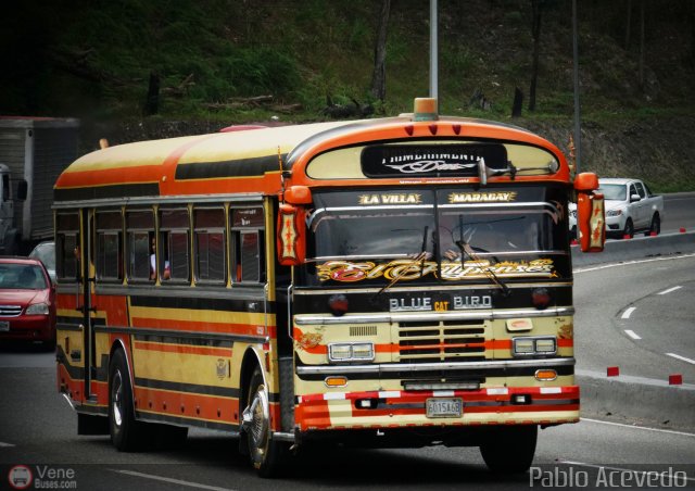 Uni�n Magdaleno A.C. 34 por Pablo Acevedo