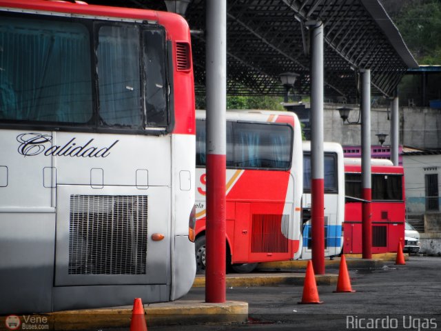 Garajes Paradas y Terminales Carupano por Ricardo Ugas