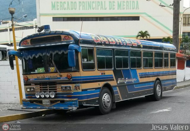 Transporte Colectivo Camag 11 por Jess Valero