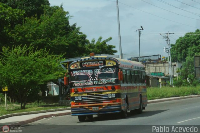 Transporte Colectivo Palo Negro 067 por Pablo Acevedo