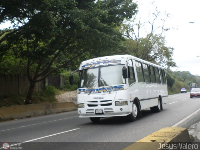 Unin Sucre 455 por Jess Valero