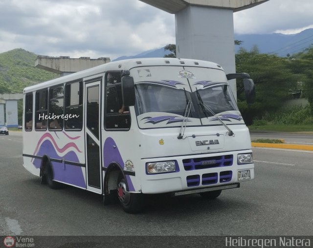 Coop. Transporte Menca de Leoni 064 por Heibregen Natera