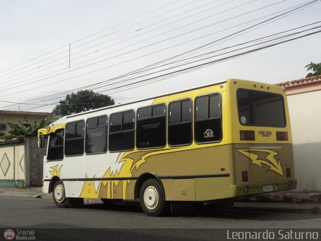 Lnea Los Andes S.C. 029 por Leonardo Saturno
