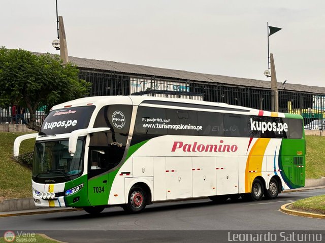 Expreso Internacional Palomino 7034 por Leonardo Saturno