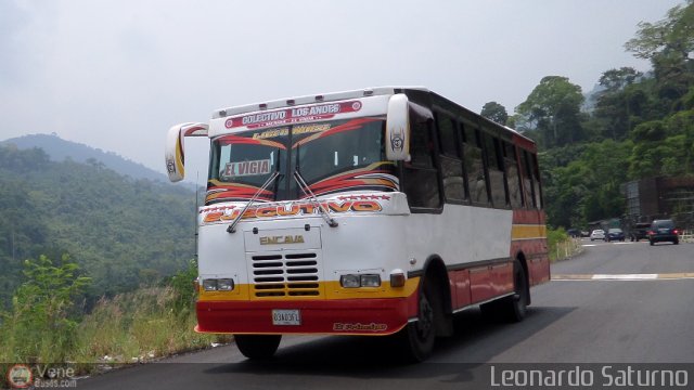 Colectivo Los Andes 32 por Leonardo Saturno