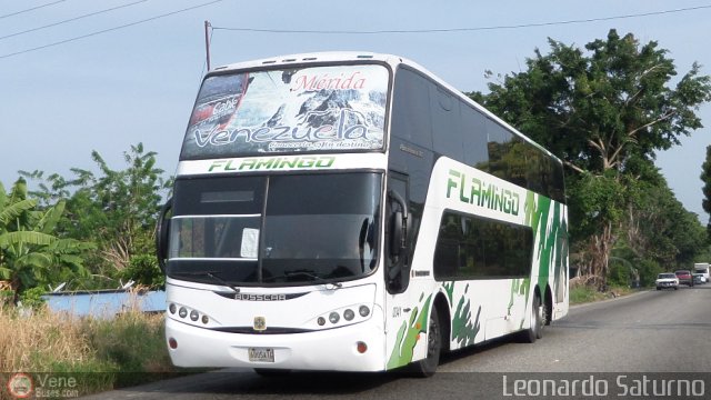 Expresos Flamingo 0341 por Leonardo Saturno