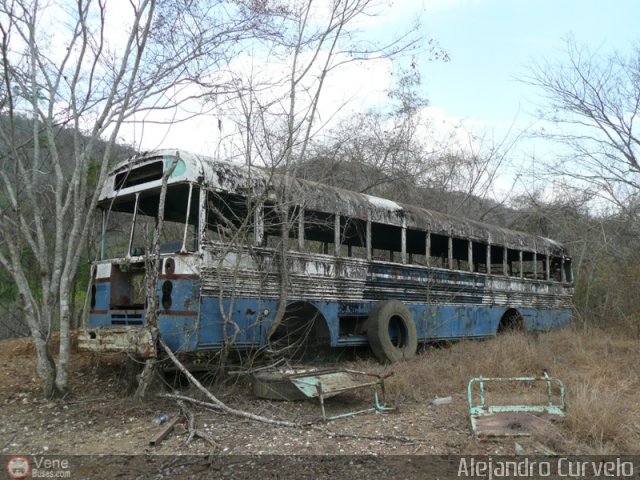 DC - Autobuses de El Manicomio C.A 10 por Alejandro Curvelo