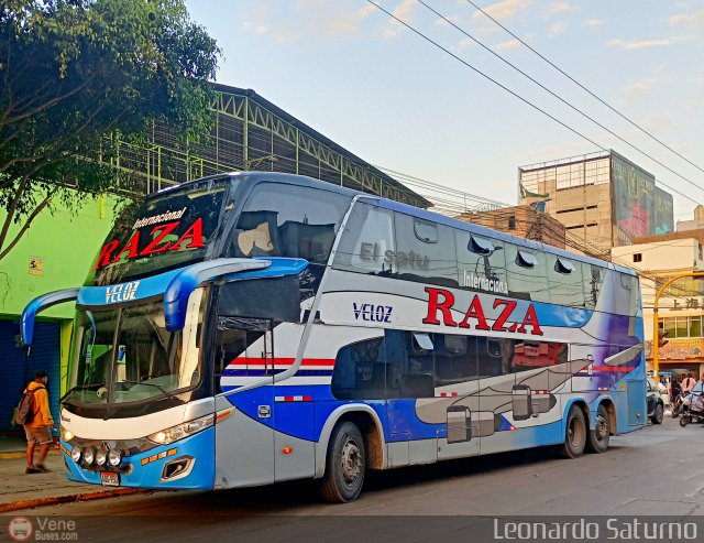 Turismo Internacional Raza 950, por Leonardo Saturno
