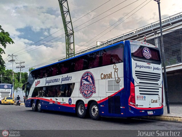 Tiburones de La Guaira B.B.C. 03 por Josue Snchez