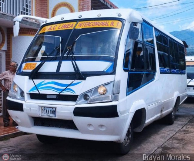 TA - A.C. L�nea Intercomunal 60 por Jerson Nova