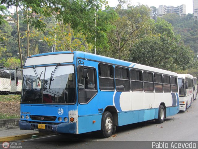 Particular NO USAR M�S 29 por Pablo Acevedo