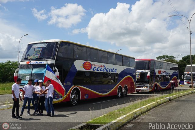Expresos Occidente Gua 2019 40 por Pablo Acevedo