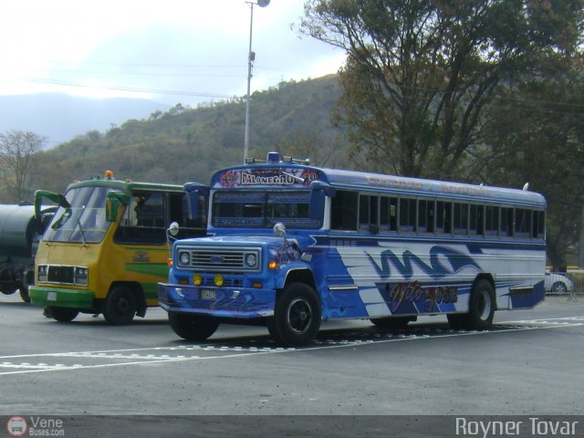 Transporte Colectivo Palo Negro 40 por Royner Tovar