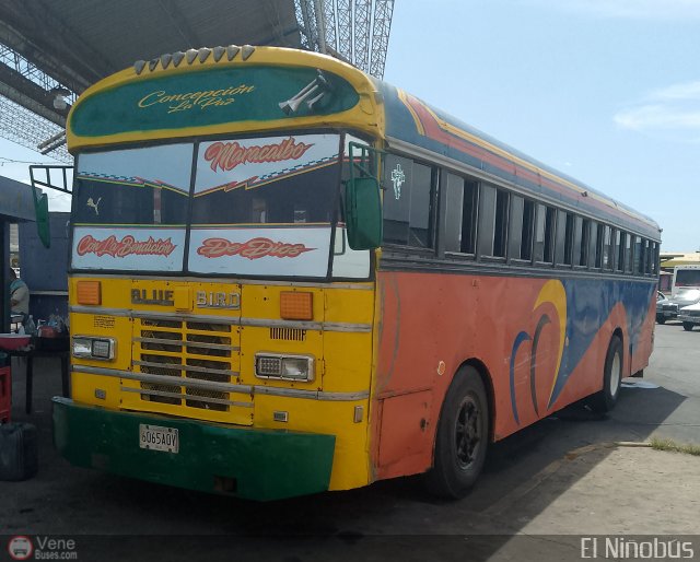 ZU - Colectivos Concepci�n 108 por �ngel Delgado