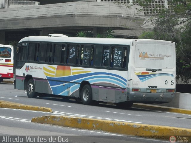 Colectivos Valle de Pacairigua 005 por Alfredo Montes de Oca