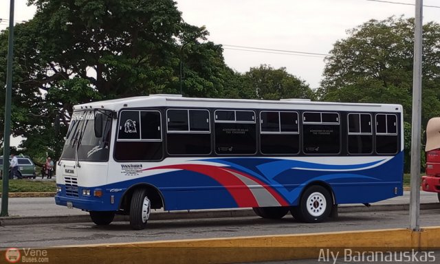 L�nea La Pastora 66 por Aly Baranauskas