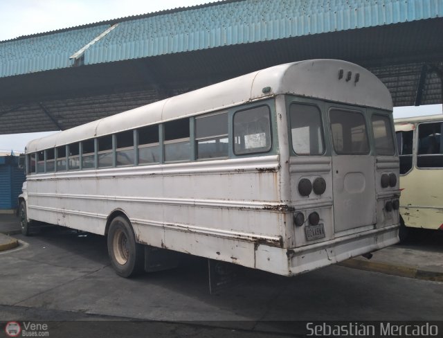 Colectivo Matera Nueva 03 por Sebastin Mercado