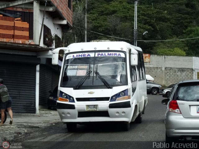 TA - A.C. Autos por puesto Lnea Palmira 008 por Pablo Acevedo