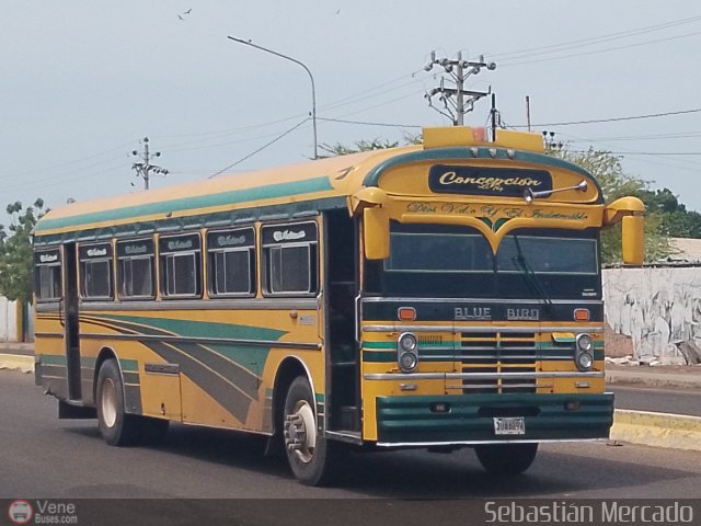 ZU - Colectivos Concepci�n 018 por Sebasti�n Mercado