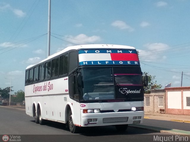 Expresos Del Sur 2011 por Miguel Pino