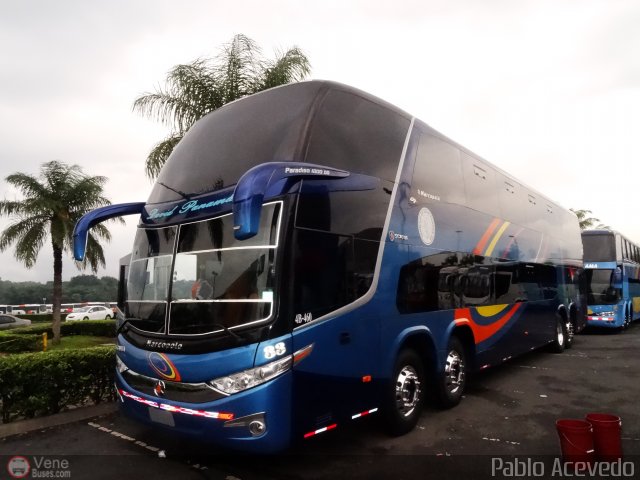 Terminales David Panam� 33 por Pablo Acevedo