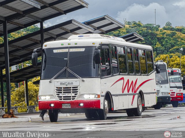 A.C. Transporte Vencollano 01 por Wualter Ovejero