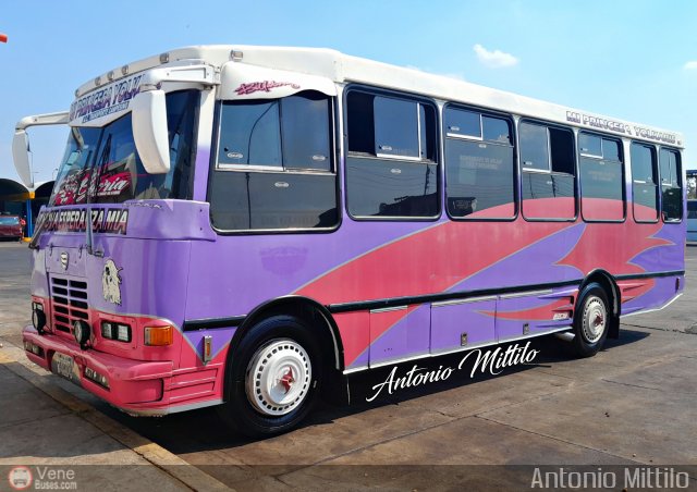 A.C. Transporte Campesino 81 por Antonio Mittilo