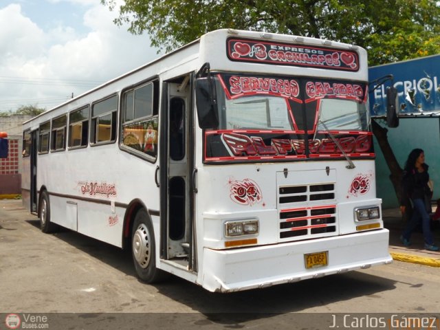 Expresos Los 3 Cachilapos 04 por J. Carlos G�mez