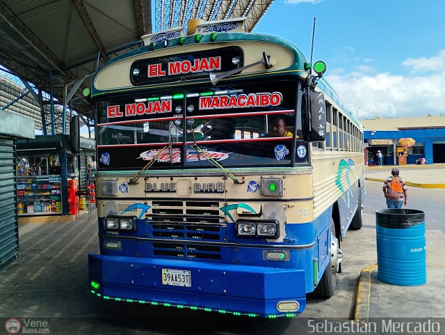Colectivo San Rafael 13 por Sebasti�n Mercado