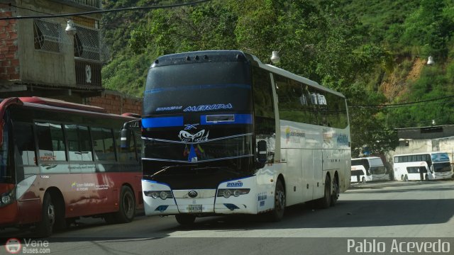 Expresos M�rida 2020 por Pablo Acevedo