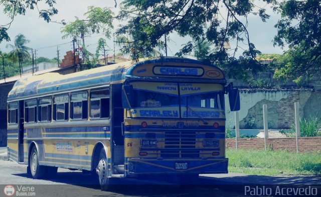 Uni�n Magdaleno A.C. 66 por Pablo Acevedo