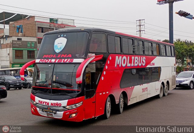 Transportes y Servicios Molibus 957 por Leonardo Saturno